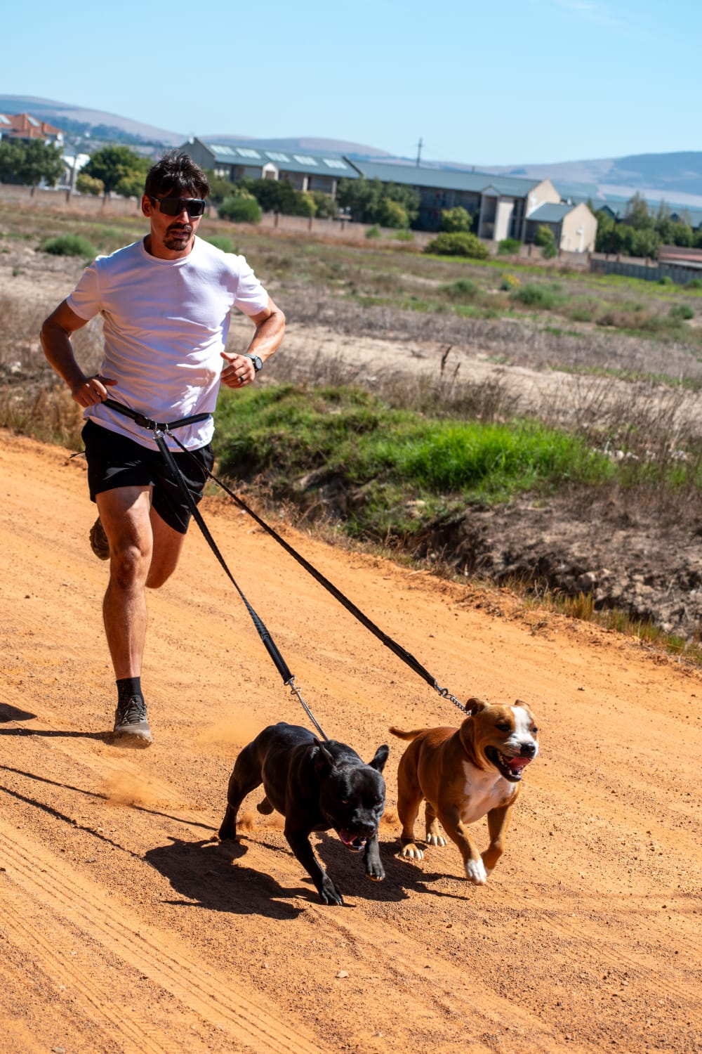 Lekker Miles™ Hands-Free Dog Running Leash